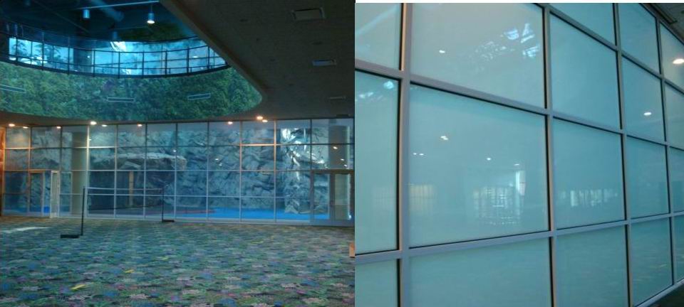 Polyvision Privacy Glass