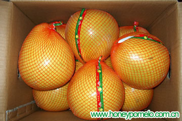 pomelo