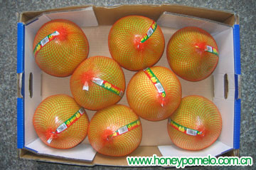 fresh honey pomelo