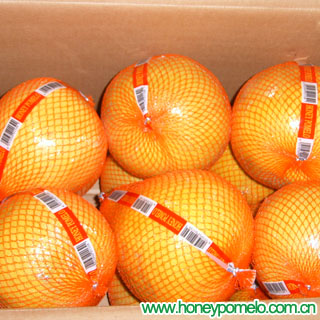 citrus fruit