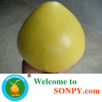 Honey pomelo