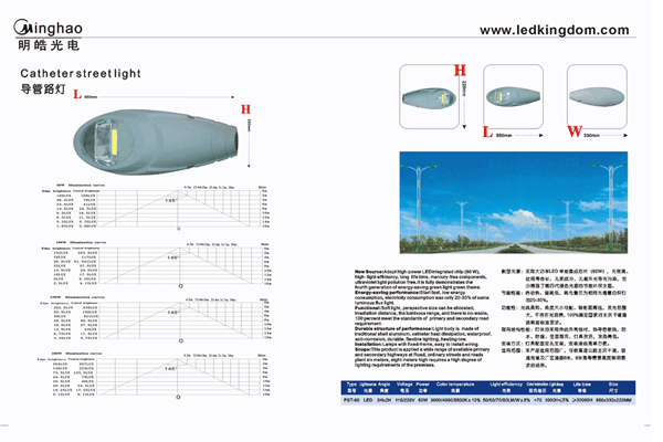 LED streetlamp