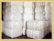 Raw Cotton Bales