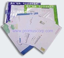 Direct Mailing - Promus Services