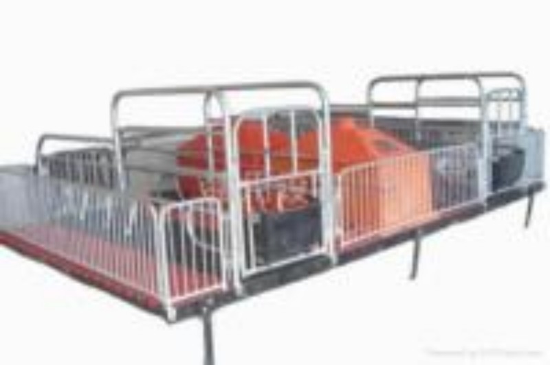 Supply Childbirth Bed for Pig