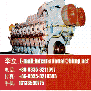 SXD PIELSTICK 16PA6V-280,12PA6V-280 diesel engine 