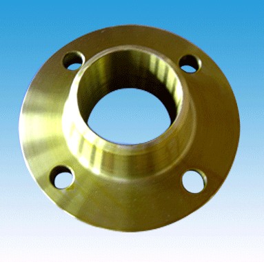 Stainless steel flange