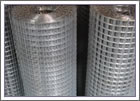 Welded Wire Mesh