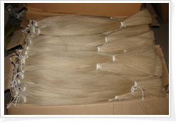 horse tail hair is used for tail extension