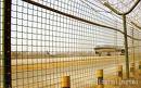 fence netting,mesh fence,wire mesh,welded wiremesh