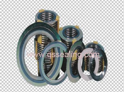 graphite spiral wound gasket