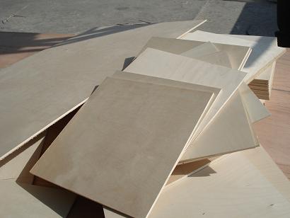 birch/  full poplar  plywood