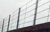 Straight Line Razor Wire 