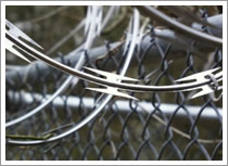 Razor Wire Mesh