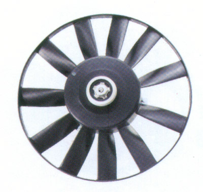 Radiator  fan