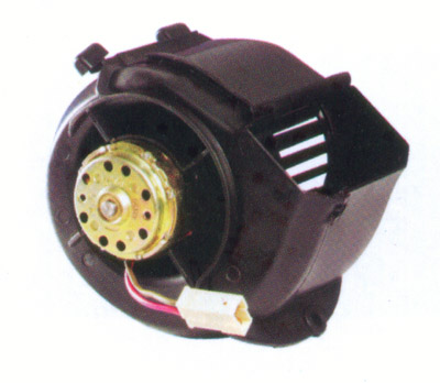 Blower motor