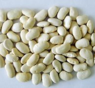 White kidney beans, baishake/japanese/medium white