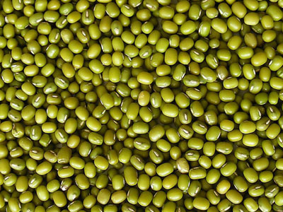 Green mung beans 3.0,3.2,3.4,3.8,4.0