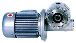 worm gear reducers