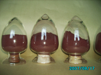 Red Rice Yeast P.E.