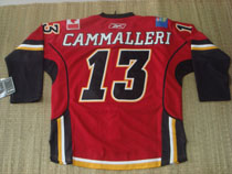 Calgary Flames 13#