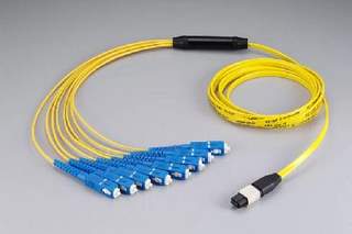 MPO patch cord