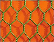 hexagonal wire mesh