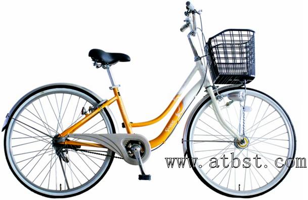 lady bicycle city bike