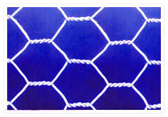 Hexagonal wire mesh 