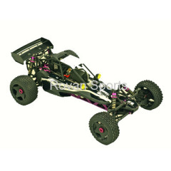 Electric RC Car