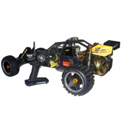 RC Hobby Car