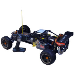 4WD RC Buggy