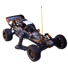 Mini RC Buggy