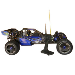 Mini RC Buggy