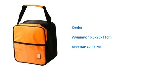 Cooler Bag