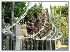 razor wire 