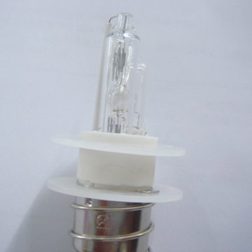 H6 Halogen Lamp