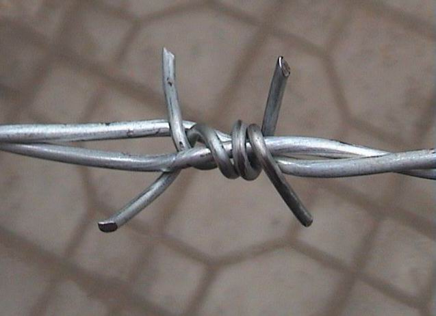 barbed iron wire