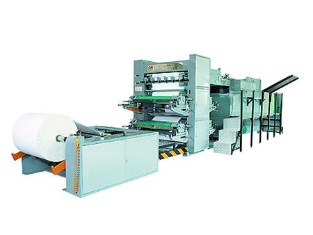 Auto Flexo Printing Machine (2+2) 