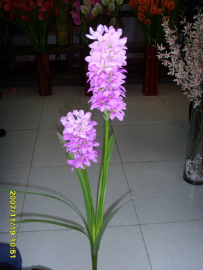 silk flower--hyacinth