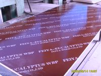 black/brown film faced plywood