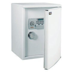 Electronic Home Safe