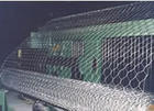 hexagonal wire mesh