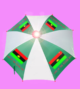 Unusual /novelest Promotion /ad.Gift umbrella