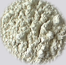 rice protein concentrate