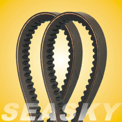 Cogged V Belt/Automotive V Belt