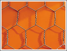 hexagonal wire netting