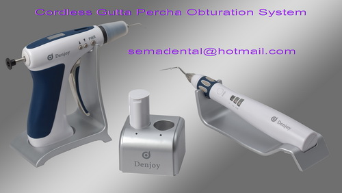 Cordless gutta percha obturation system 