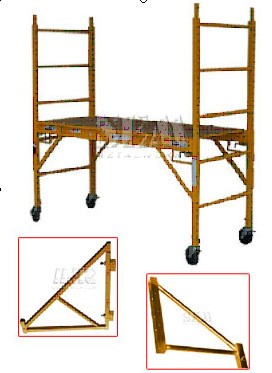 Multi-Function Scaffold