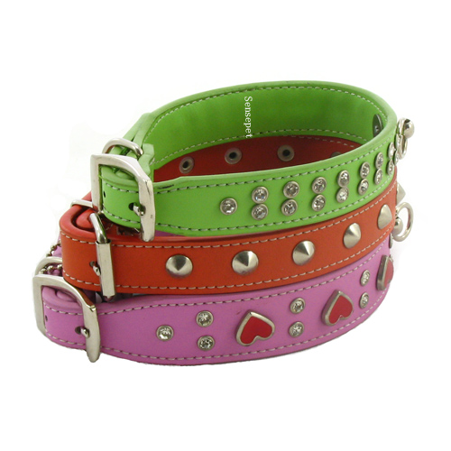 dog collars-dog leash